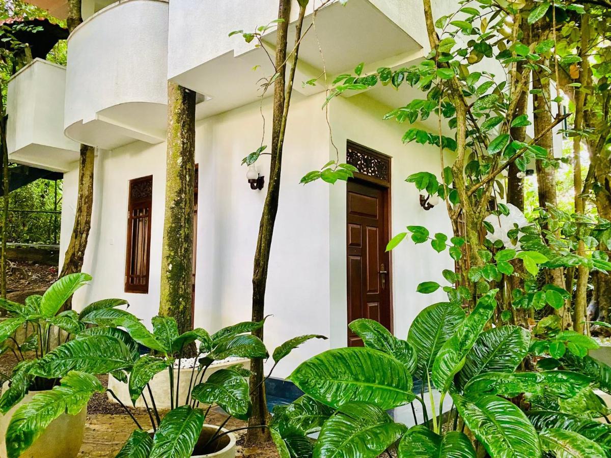 Nature Will Ahangama Exterior photo
