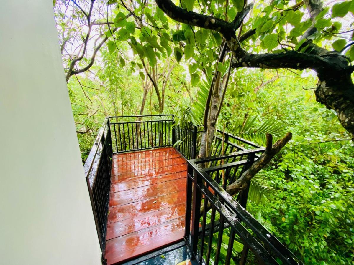 Nature Will Ahangama Exterior photo