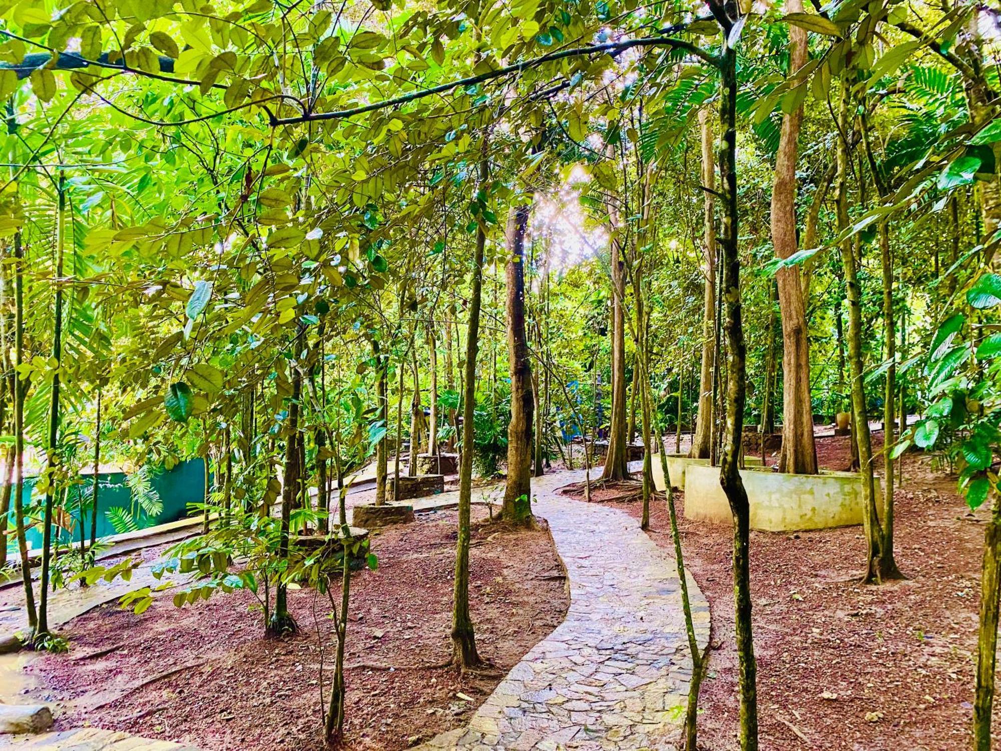 Nature Will Ahangama Exterior photo